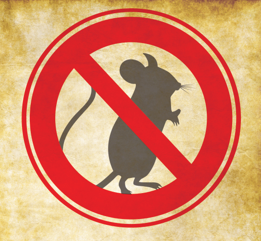 Top 6 Signs of Rodent Infestations in Facilities
